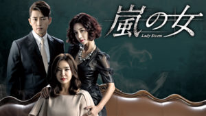 韓国ドラマ-嵐の女-あらすじ-4話~6話-相関図