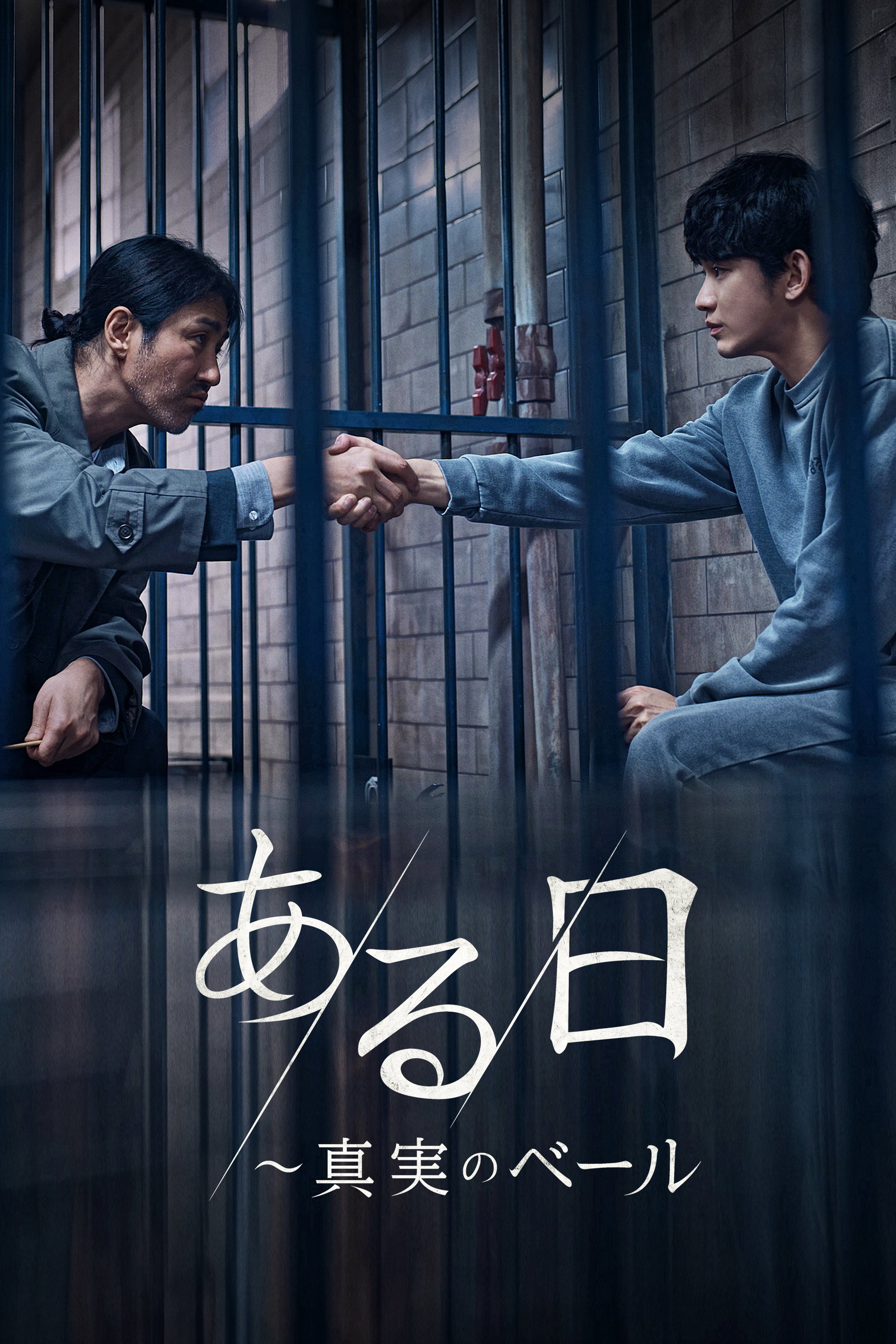ある日_真実のベール_poster